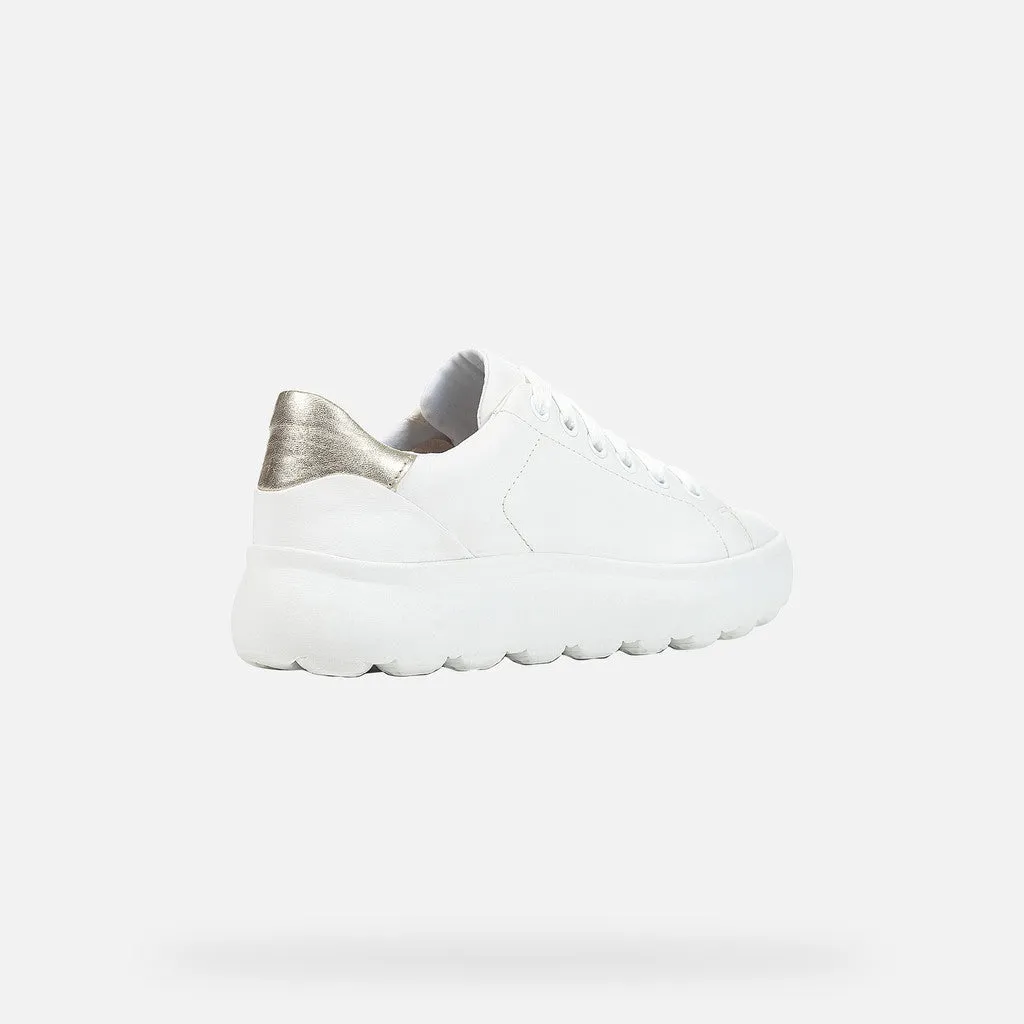 D SPHERICA SNEAKER EC4.1