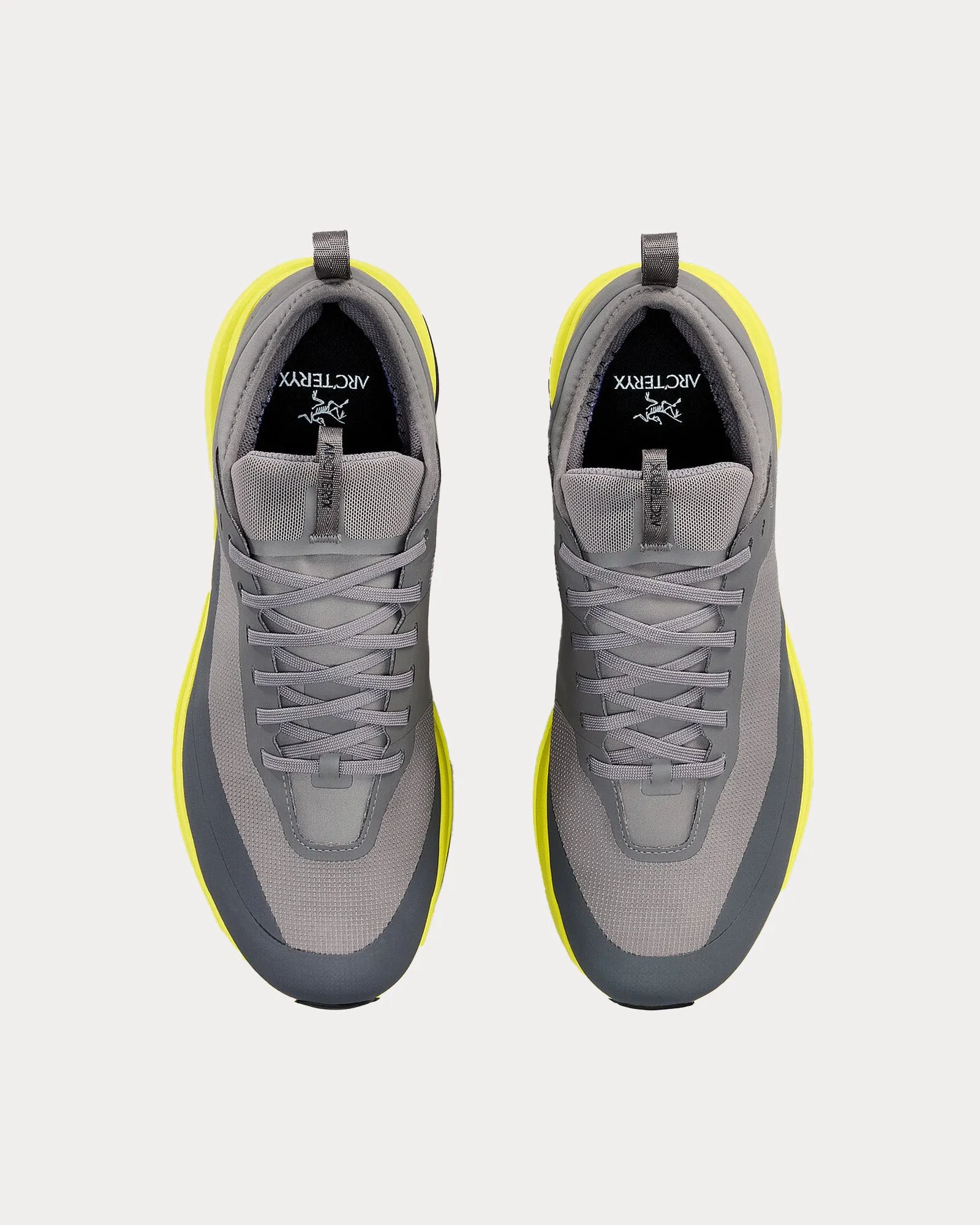 Sylan GTX Void / Euphoria Running Shoes